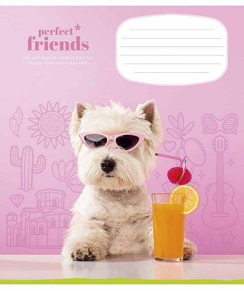Комплект 5 шт учнівських зошитів Perfect friends. Зошит Школярик 12 арк. у косу лінію 3250 4820006473204 4820006470456_012-3250C фото