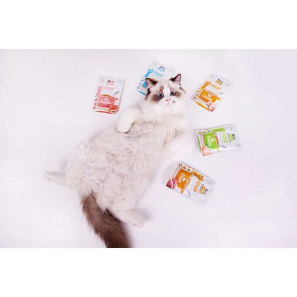 Корм вологий Brit Care Soup Salmon для котів суп з лососем 75 г 101153 фото