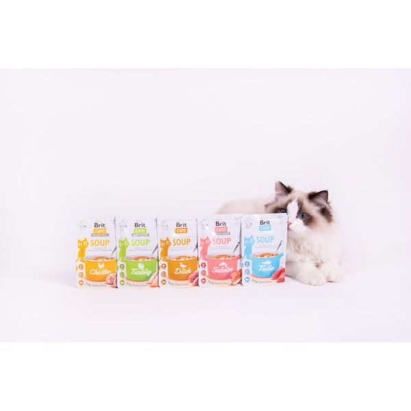 Корм вологий Brit Care Soup Salmon для котів суп з лососем 75 г 101153 фото