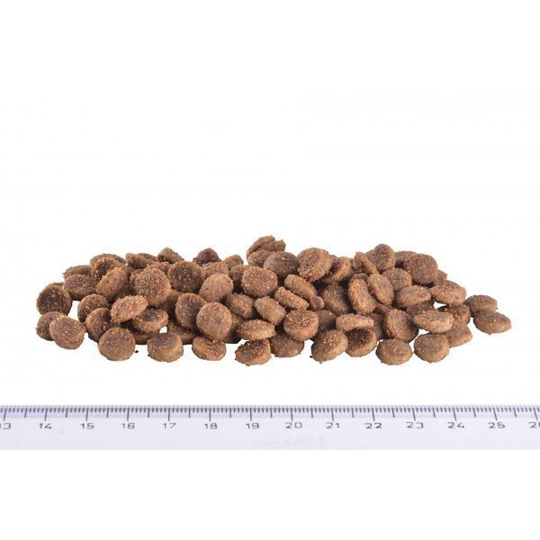 Корм сухий Brit Grain Free VetDiet Cat Renal для котів з захворюванням нирок з яйцем та горохом 400 г 170958/528332 фото