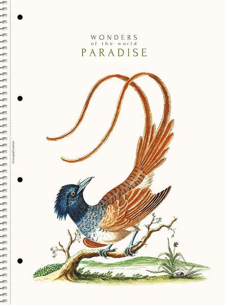 Набір 4 шт. коледж блоків Paradise. Коледж блок Школярик А4 80 арк. у лінію 991 A4-CC-080-991L 4823088207170 4823088207170 фото