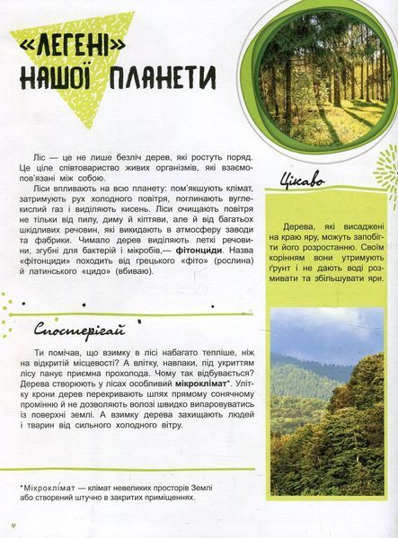 Енциклопедія Світ і його таємниці : Життя лісу. Тверда обкладинка. С740002У 9786170944399 9786170944399 фото