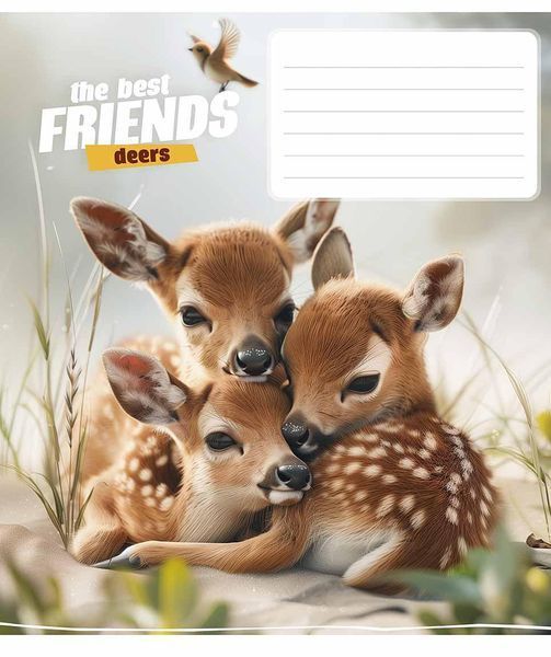 Комплект 5 шт учнівських зошитів The best friends. Зошит Школярик 12 арк. у косу лінію 3434 4820006473204 4820006470456_012-3434C фото