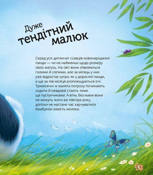 Книга Наймиліші малюки тварин 9786171705302 9786171705302 фото