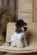 Футболка Pet Fashion Polo для собак М 4823082446407 PR244640 фото 3
