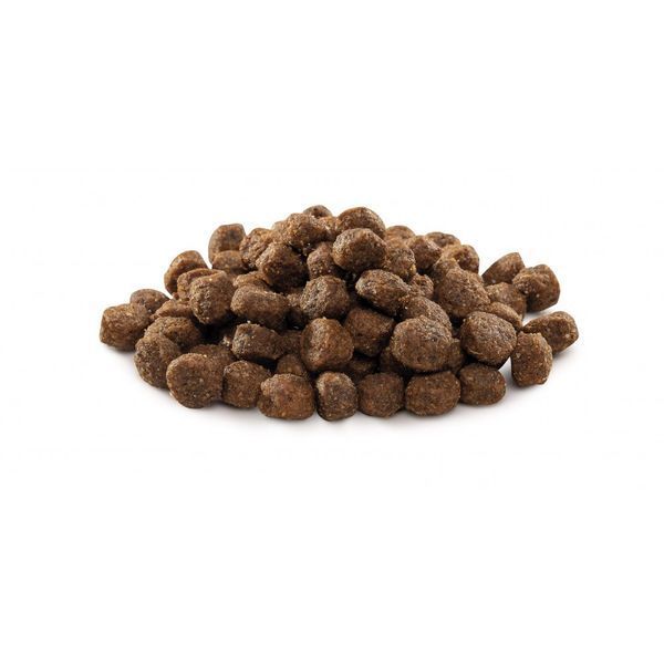 Корм сухий Brit Premium Dog Adult S для дорослих собак дрібних порід вагою 1-10 кг з куркою 1 кг 8595602526284 170809/6284 фото