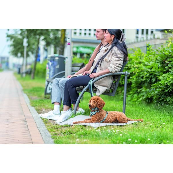 Шлея Trixie CityStyle H-harness для собак бавовна L&ndash;XL 75&ndash;120 см 25 мм світло-зелена 4053032682672 4053032682672 фото
