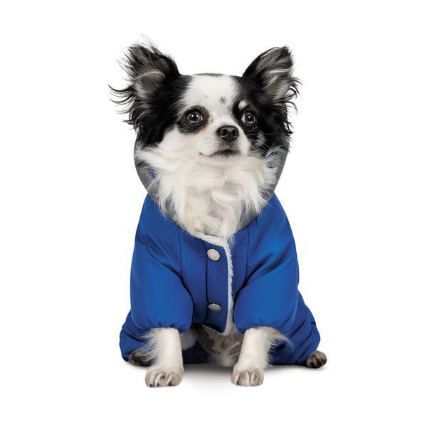 Костюм Pet Fashion ZHAN для собак синій М 4823082432400 4823082432400 фото