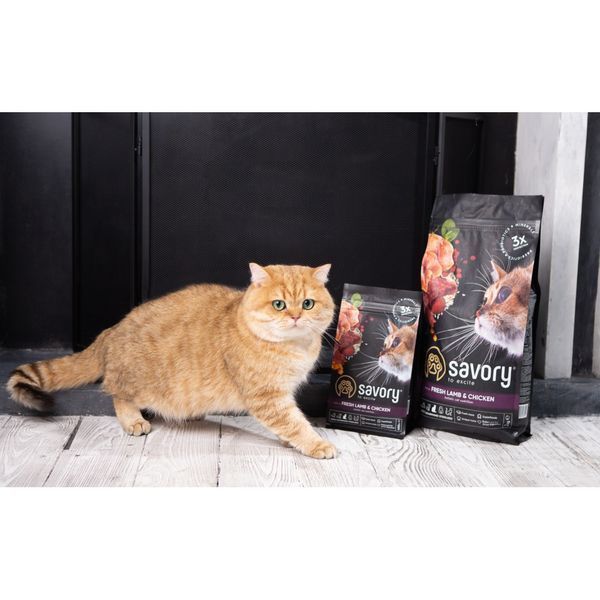 Корм сухий Savory Adult Cat Steril Fresh Lamb and Chicken для стерилізованих котів з ягнятиною та куркою 2 кг 30112 фото