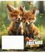 Комплект 5 шт учнівських зошитів The best friends. Зошит Школярик 12 арк. у косу лінію 3434 4820006473204 4820006470456_012-3434C фото 4