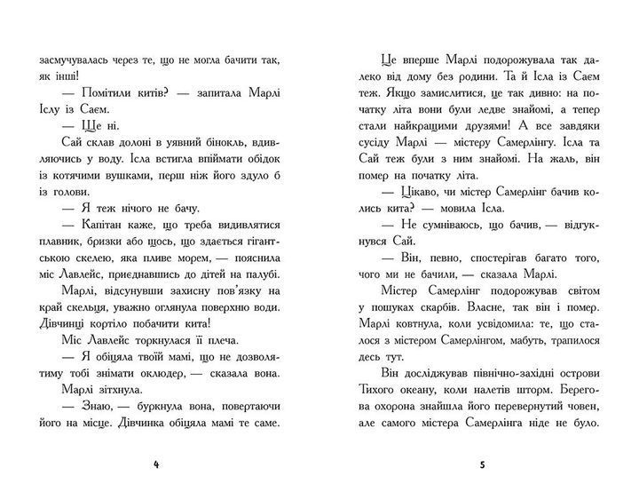 Шукачі скарбів. Острів Літо. Книга 3. М'яка обкладинка Ч1464003У 9786170984609 9786170984609 фото
