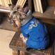 Костюм Pet Fashion ZHAN для собак синій М 4823082432400 4823082432400 фото 5