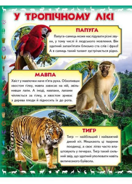 Моя перша книга Про диких тварин. Енциклопедія для малюків на картоні 9789669135315 фото