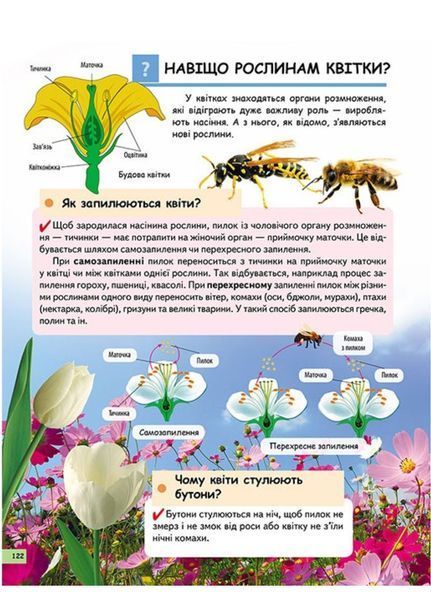 Чомусикам про все на світі у запитаннях і відповідях 9789669474841 фото
