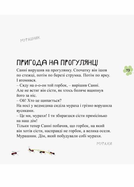 Книга Дивовижні відкриття ведмедика Санні в лісі. Автор Чуб Наталія. S848002У 9786170936554 274604 фото