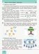 Інформатика (рівень стандарту). Підручник для 10 (11) кл. ЗЗСО (Бондаренко О. О. та ін.) 9786170943545 фото 3