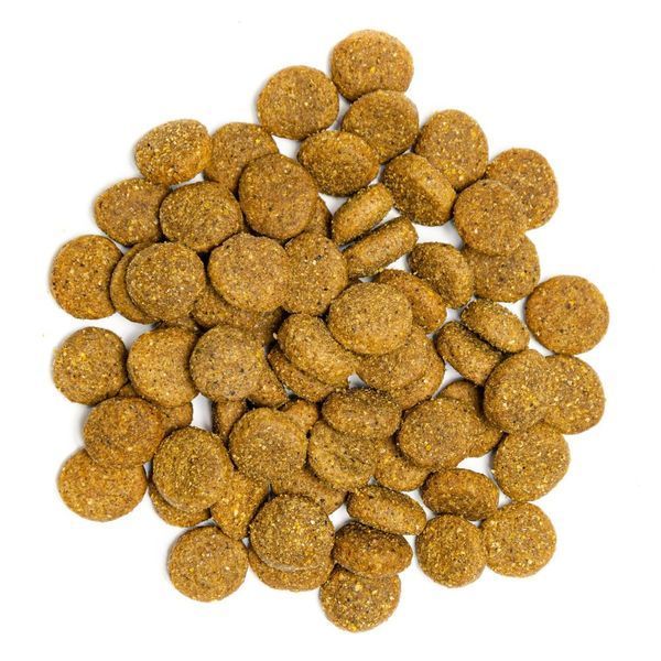 Корм сухий Profine Junior Large Breed для цуценят та молодих собак великих порід вагою від 25 кг з куркою та картоплею 3 кг 170535/7398***** фото