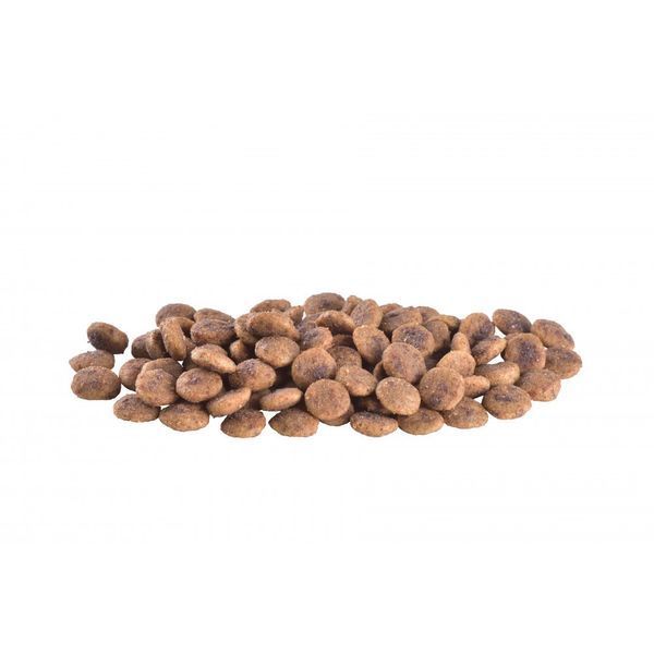Корм сухий Brit Grain Free VetDiet Cat Hypoallergenic для котів з харчовою алергією та непереносимістю з лососем та горохом 170961/528387 фото