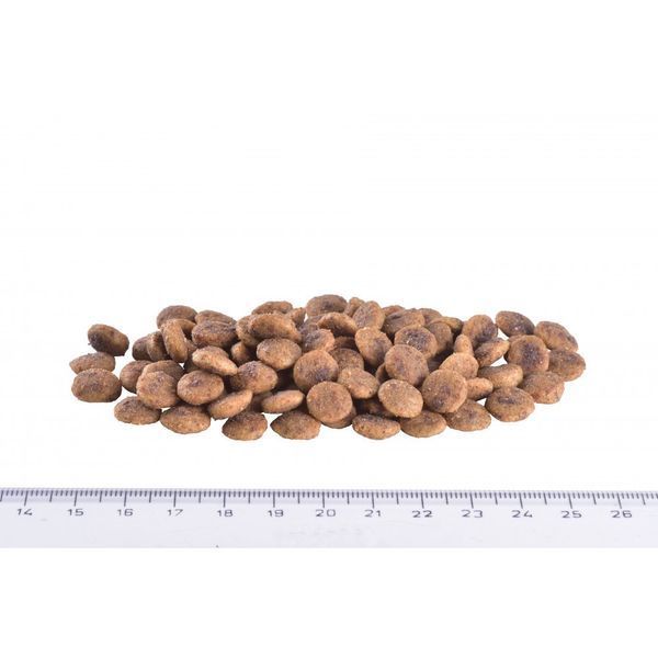 Корм сухий Brit Grain Free VetDiet Cat Hypoallergenic для котів з харчовою алергією та непереносимістю з лососем та горохом 170961/528387 фото