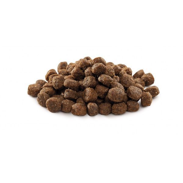 Корм сухий Brit Premium Dog Adult S для дорослих собак дрібних порід вагою 1-10 кг з куркою 3 кг 8595602526291 170810/6291 фото