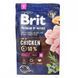 Корм сухий Brit Premium Dog Adult S для дорослих собак дрібних порід вагою 1-10 кг з куркою 3 кг 8595602526291 170810/6291 фото 3