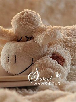 Фотоальбом UFO 20sheet S22x32 Lamb (6905341) 6900069053419 6900069053419 фото