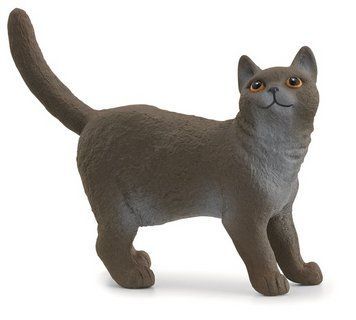 Іграшка-фігурка Schleich Британська короткошерста кішка (13973) 4059433789378 4059433789378 фото