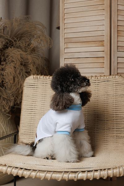 Футболка Pet Fashion Polo для собак XS2 4823082446384 PR244638 фото