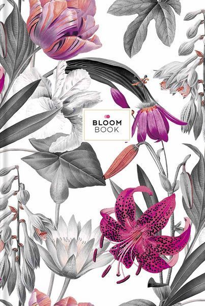 Набір 2 шт. блокнотів для записів BloomBook. Блокнот Школярик у лінію В5 80 арк. 795 B5-IC-080-795L 4823088230383 4823088230383 фото