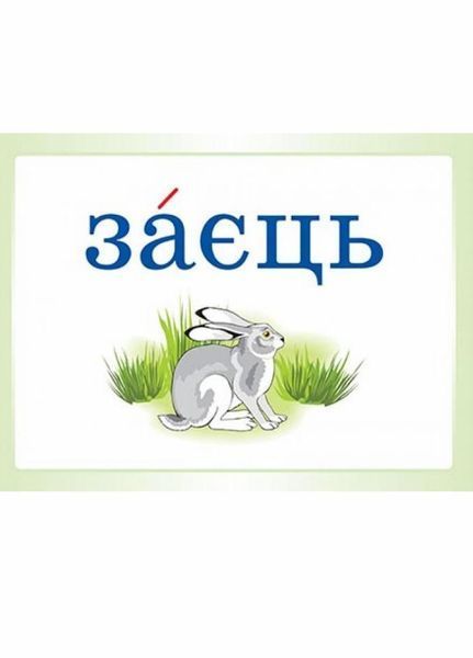 Демонстраційні картки. Словникові слова в ребусах. 2 клас. ДЕК002 2712710031776 300627 фото