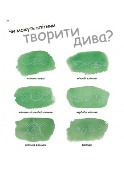 Генетика для дітей : Дивовижний світ клітин С1354002У 978-617-09-6989-7 Автор Патрік А. Боерле 9786170969897 фото