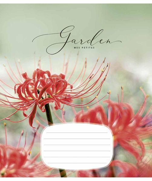 Комплект 5 шт учнівських зошитів Secret garden. Зошит Школярик 24 арк. у клітинку 3233 4820006470487 4820006470487_024-3233K фото