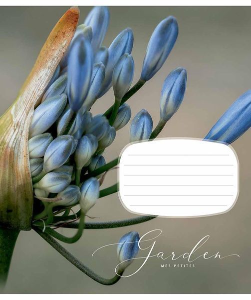 Комплект 5 шт учнівських зошитів Secret garden. Зошит Школярик 24 арк. у клітинку 3233 4820006470487 4820006470487_024-3233K фото