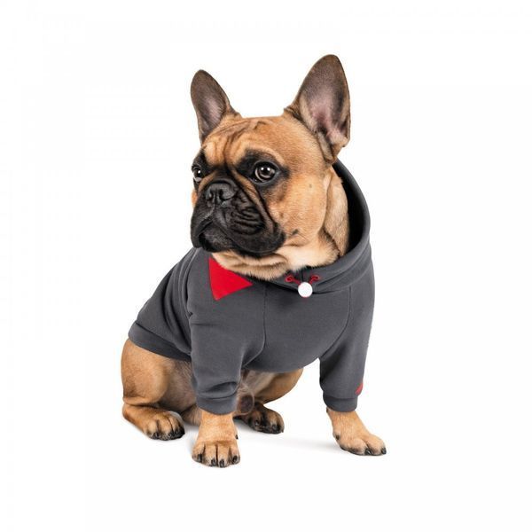 Худі Pet Fashion Snoodie для собак сіра S 4823082423330 4823082423330 фото