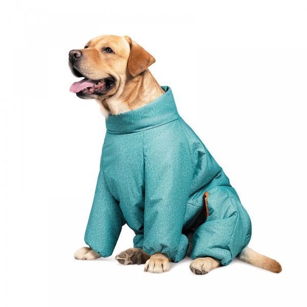 Комбінезон Pet Fashion Cold для собак бірюза M 4823082425341 4823082425341 фото