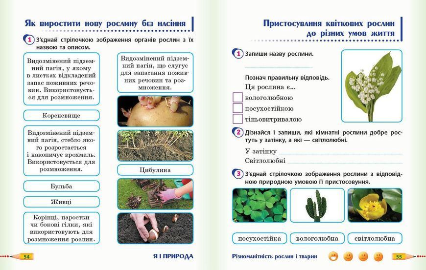 Книга НУШ 3 кл. Я досл. світ. Роб.зошит Ч.1 (у 2-х ч.) (Укр) до підр. Гільберг Т.В. та ін 2025 ДИДАКТА Ранок Автор - Тагліна О.В. 9786170965264 фото