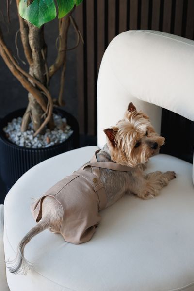 Шорти Pet Fashion Leo для собак S 4823082445660 PR244566 фото