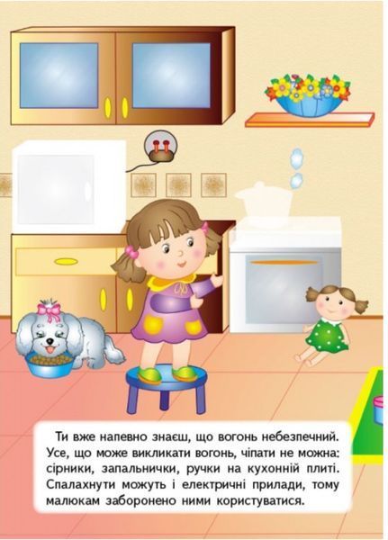 Правила безпеки вдома. Розвивальні наліпки 9789669470935 фото