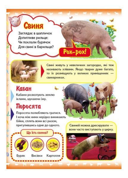 Моя перша книга Про свійських тварин. Енциклопедія для малюків на картоні 9789669135292 фото