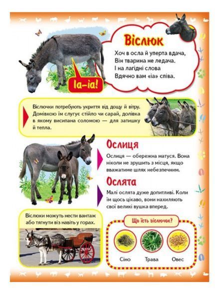 Моя перша книга Про свійських тварин. Енциклопедія для малюків на картоні 9789669135292 фото
