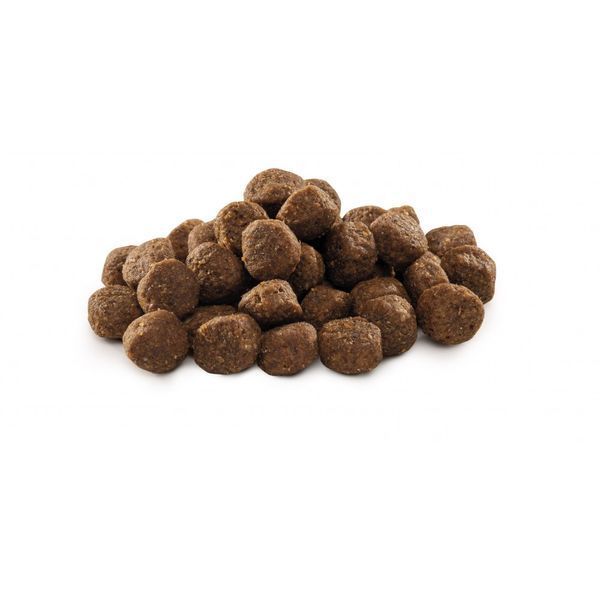 Корм сухий Brit Premium Dog Junior M для цуценят та молодих собак середніх порід від 1 до 12 місяців вагою 10-25 кг з куркою 8595602526314 170812/6314 фото