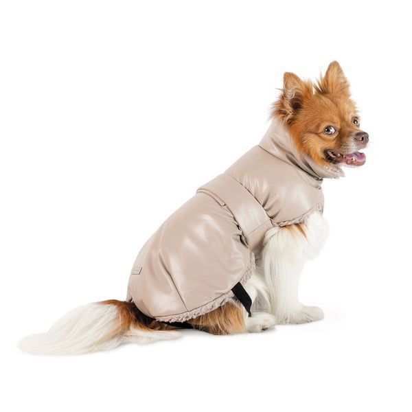 Попона Pet Fashion Mikki для собак бежева М 4823082443116 4823082443116 фото