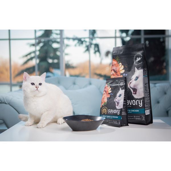 Корм сухий Savory Kitten rich in Fresh Turkey and Chicken для кошенят всіх порід зі свіжою індичкою та куркою 2 кг 30143 фото