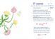 Книга Чесно-пречесно. ВСЛ 9789664484692 9789664484692 фото 3
