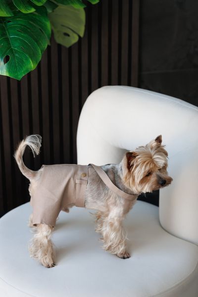 Шорти Pet Fashion Leo для собак XS2 4823082445721 PR244572 фото
