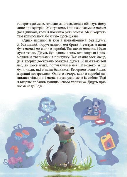 Книга Мрія Сірка. Оповідання для дітей про людяність, сміливість і здійснення мрій ДТЛ006 9786170043429 9786170043429 фото