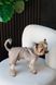 Шорти Pet Fashion Leo для собак XS2 4823082445721 PR244572 фото 7
