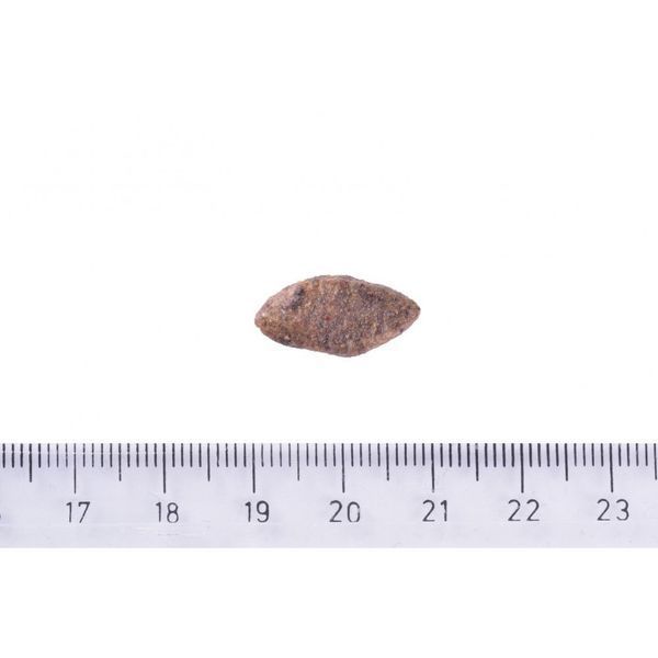 Корм сухий Brit Care Dog Sustainable Sensitive для собак з чутливим травленням з рибою та комахами 1 кг 8595602559213 8595602559213 фото