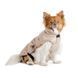 Попона Pet Fashion Mikki для собак бежева S 4823082443109 4823082443109 фото 2