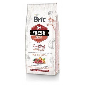 Корм сухий Brit Fresh Beef/Pumpkin Puppy Large для цуценят та молодих собак великих порід з яловичиною та гарбузом 12 кг 8595602530755 170991/530755 фото